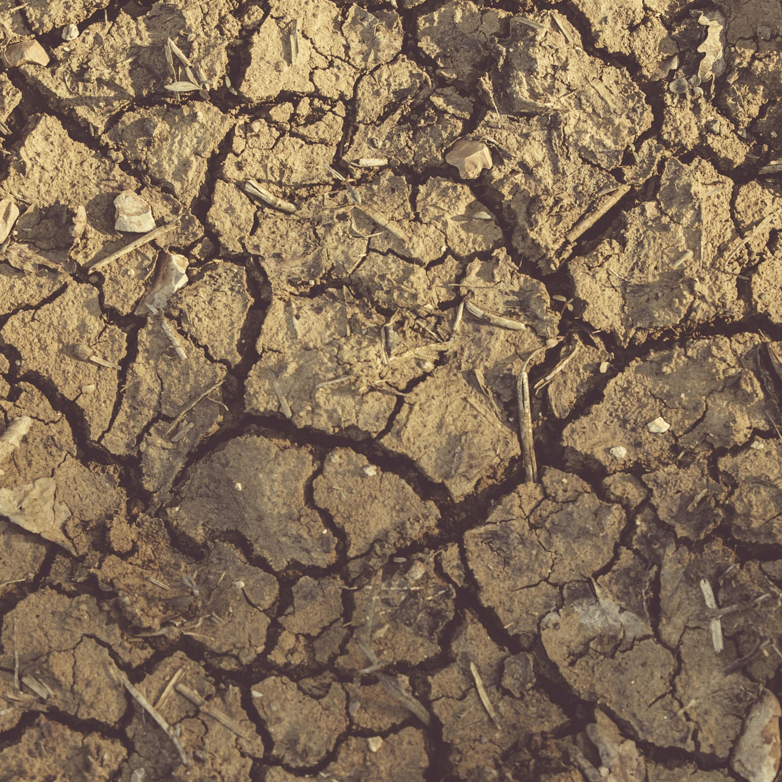 Dryness Monitor