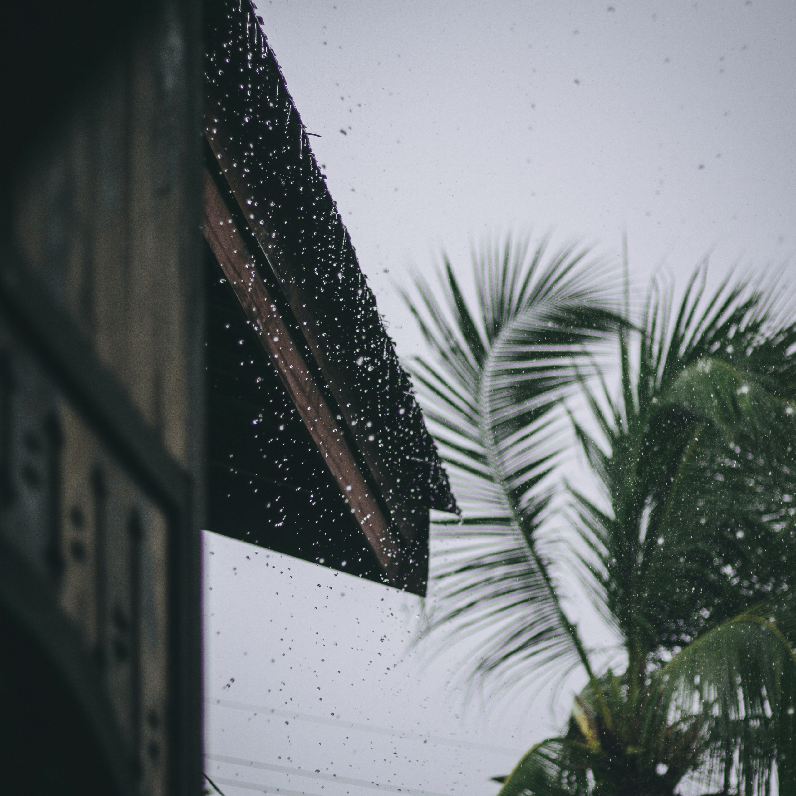 Rainfall & Temperature