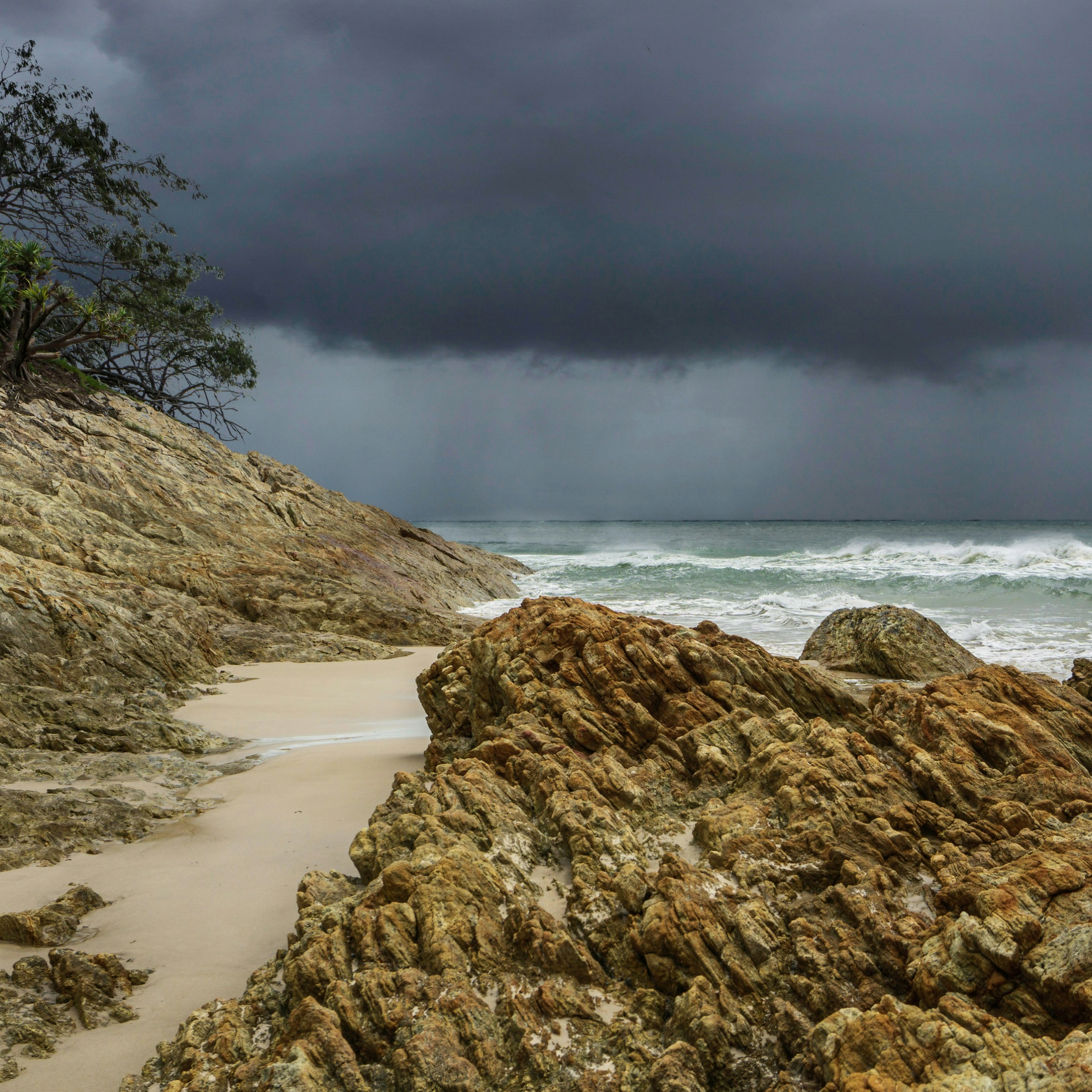 Rainfall & Temperature